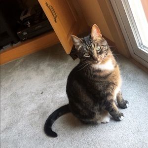 Meet your Posher, Elizabeth